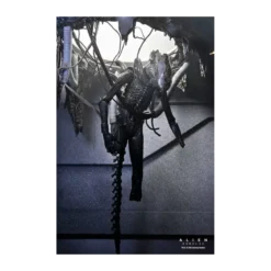 Neca - Alien: Romulus - Deluxe Suspended Lab Xenomorph XX121