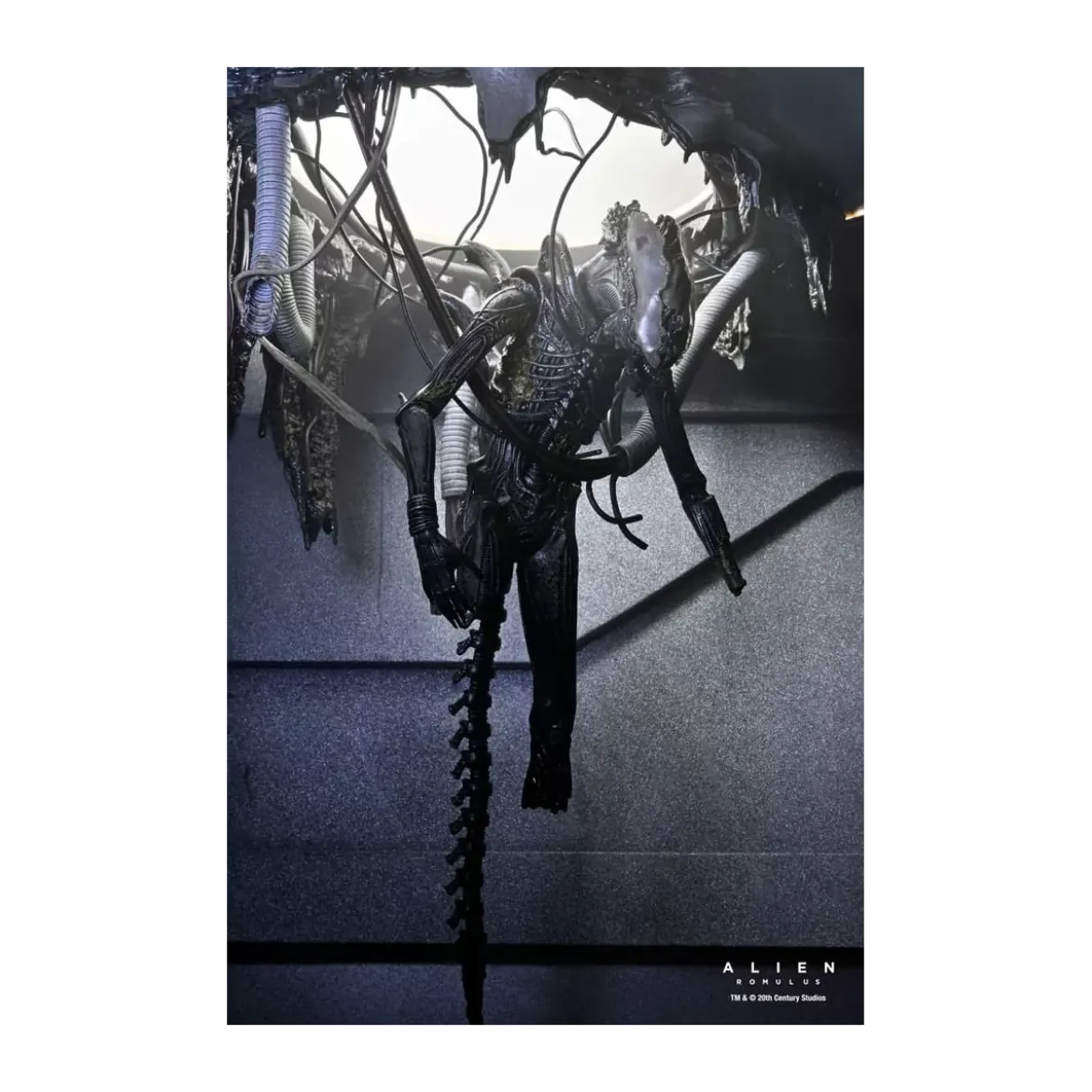 Neca - Alien: Romulus - Deluxe Suspended Lab Xenomorph XX121