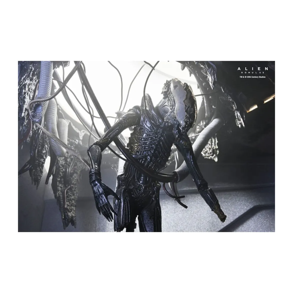 Neca - Alien: Romulus - Deluxe Suspended Lab Xenomorph XX121