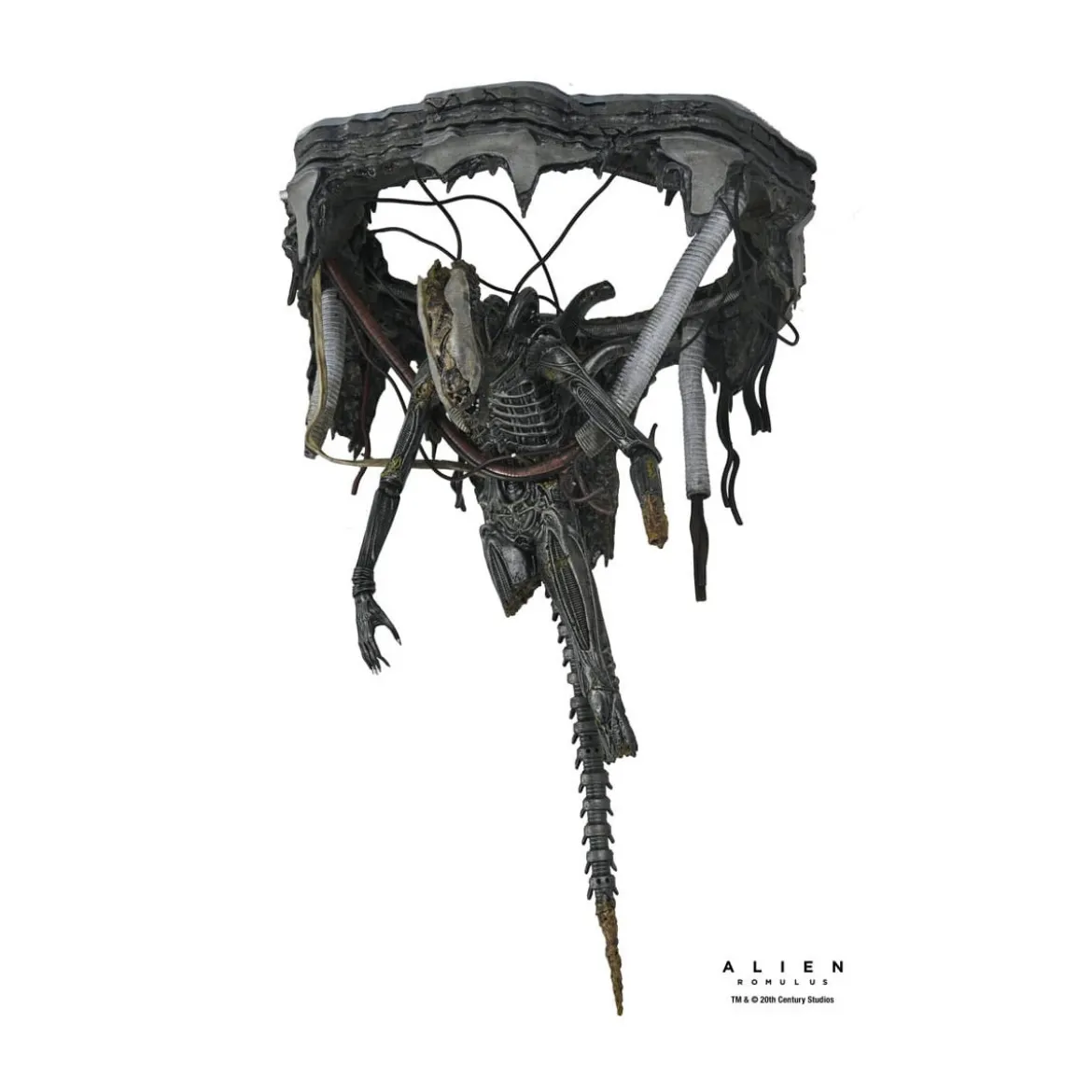 Neca - Alien: Romulus - Deluxe Suspended Lab Xenomorph XX121