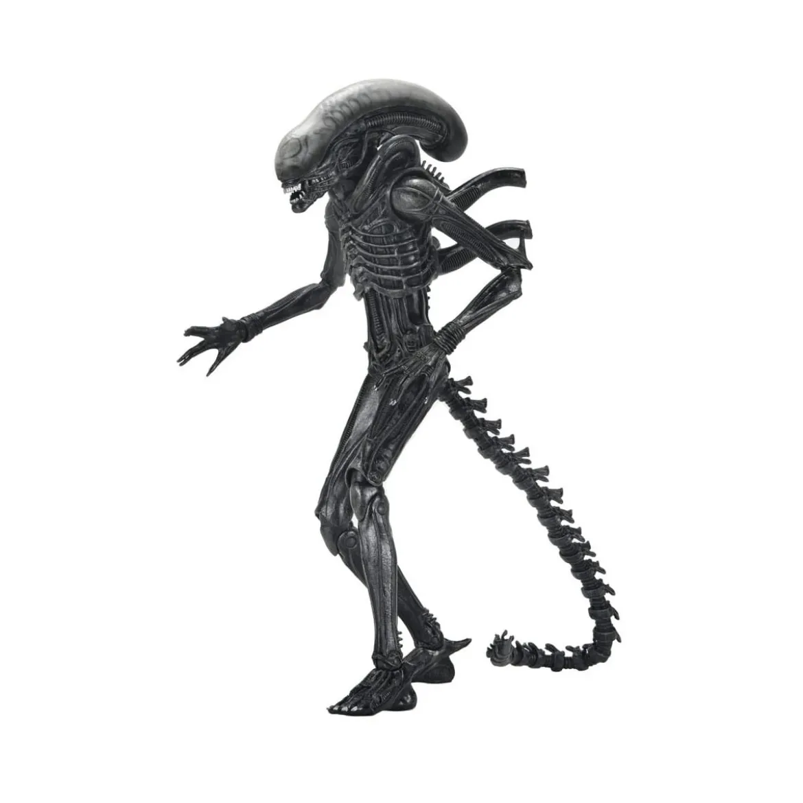 Neca - Alien: Romulus Ultimate Xenomorph XX121