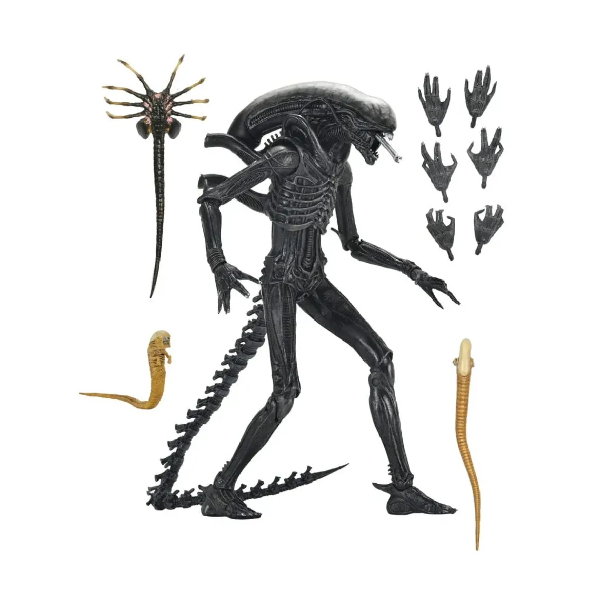 Neca - Alien: Romulus Ultimate Xenomorph XX121
