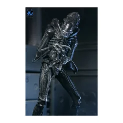 Neca Aliens - Ultimate Xenomorph Warrior - 40th anniversary (1986)