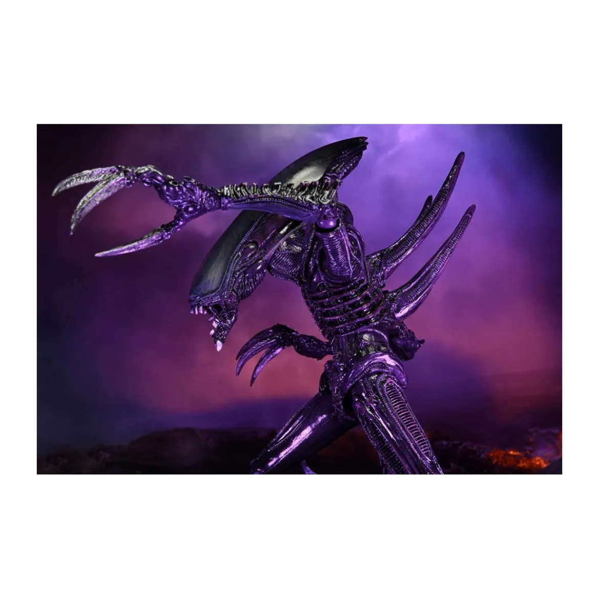 Neca Alien vs Predator - Alien Realistic Appearance - Set Complet de 3 figurines