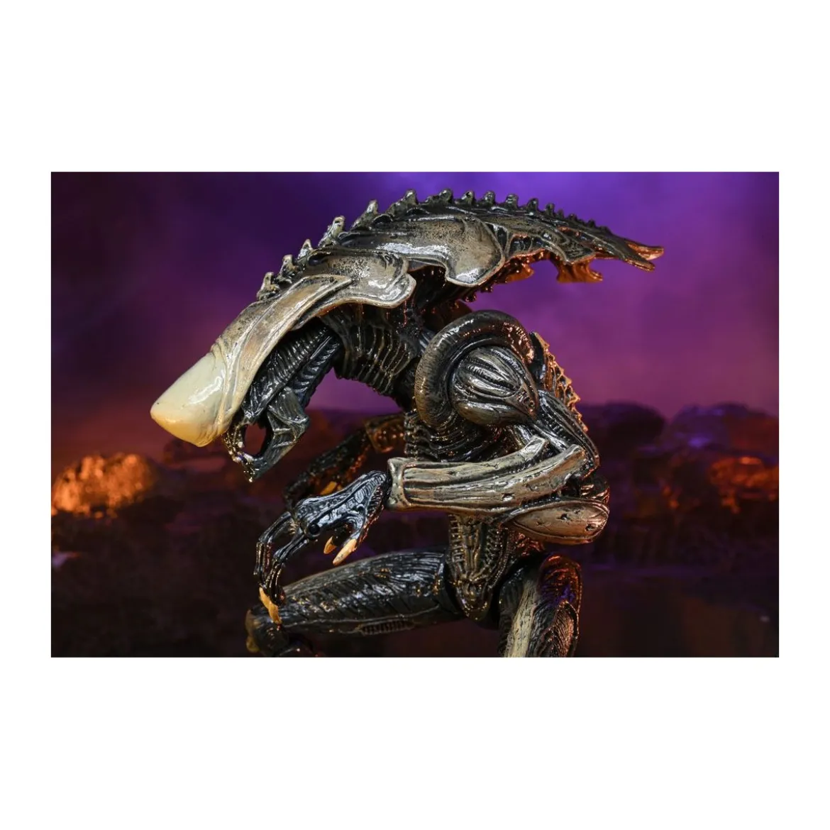 Neca Alien vs Predator - Alien Realistic Appearance - Set Complet de 3 figurines