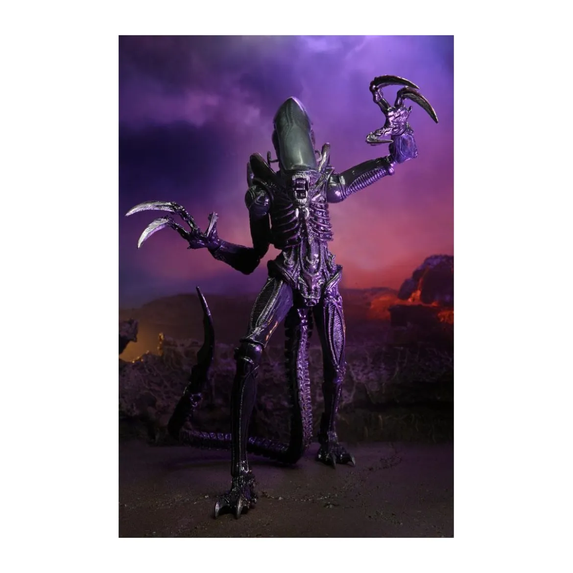 Neca Alien vs Predator - Alien Realistic Appearance - Set Complet de 3 figurines