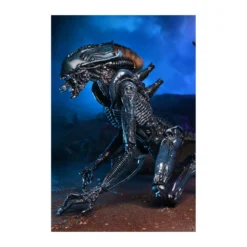 Neca Alien vs Predator - Alien Realistic Appearance - Set Complet de 3 figurines