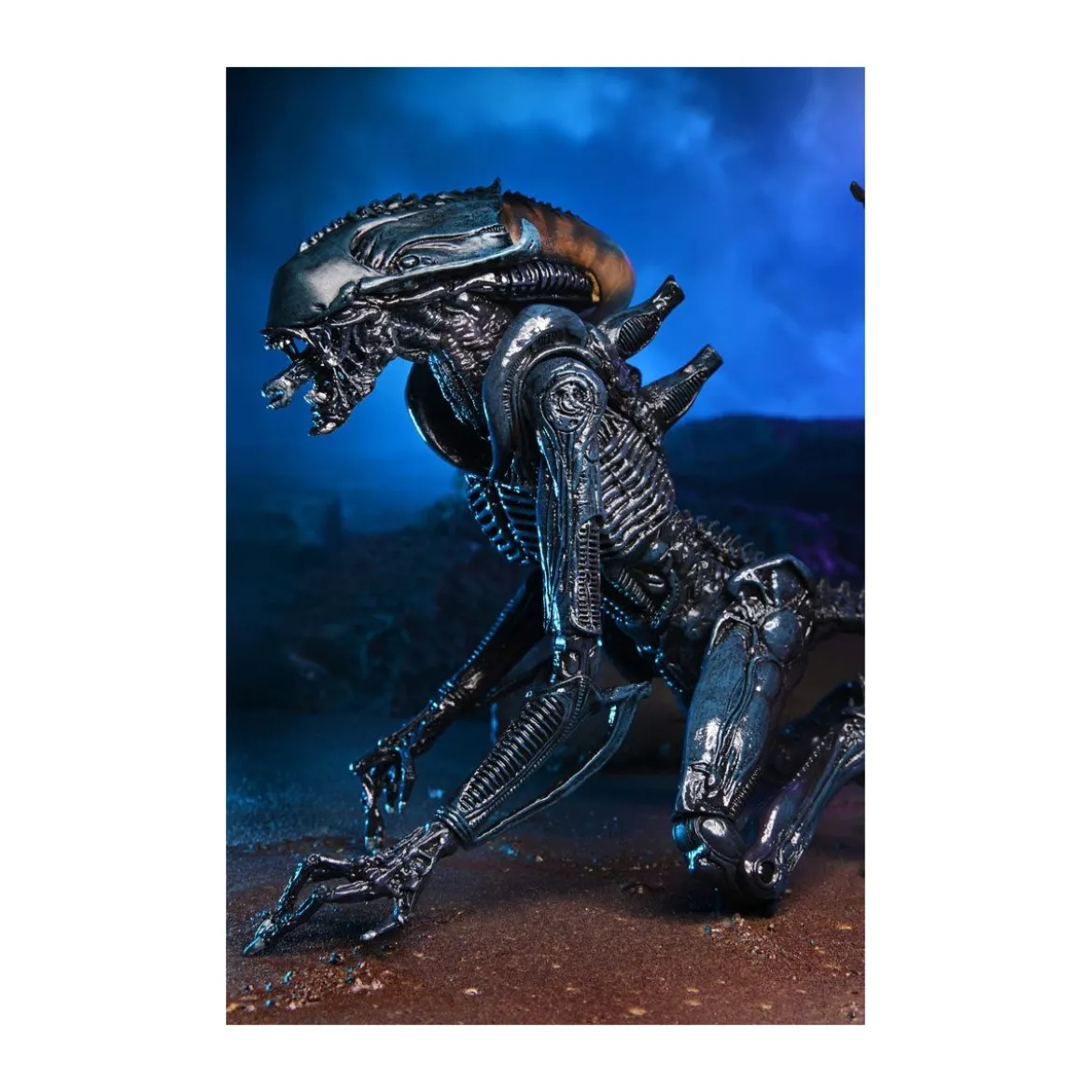 Neca Alien vs Predator - Alien Realistic Appearance - Set Complet de 3 figurines