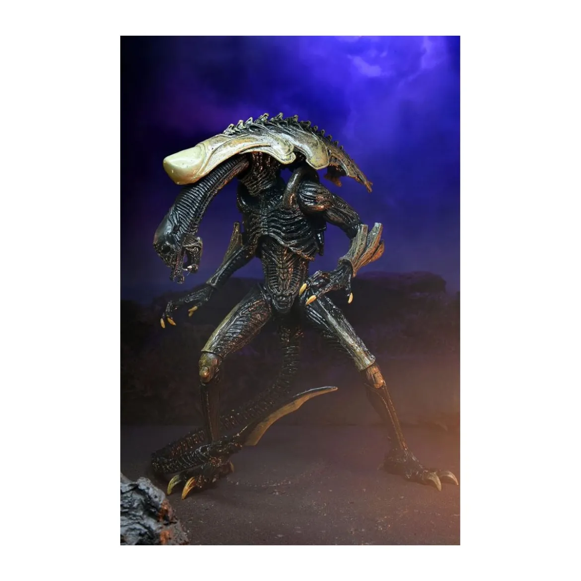 Neca Alien vs Predator - Alien Realistic Appearance - Set Complet de 3 figurines