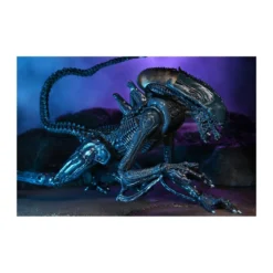 Neca Alien vs Predator - Alien Realistic Appearance - Set Complet de 3 figurines