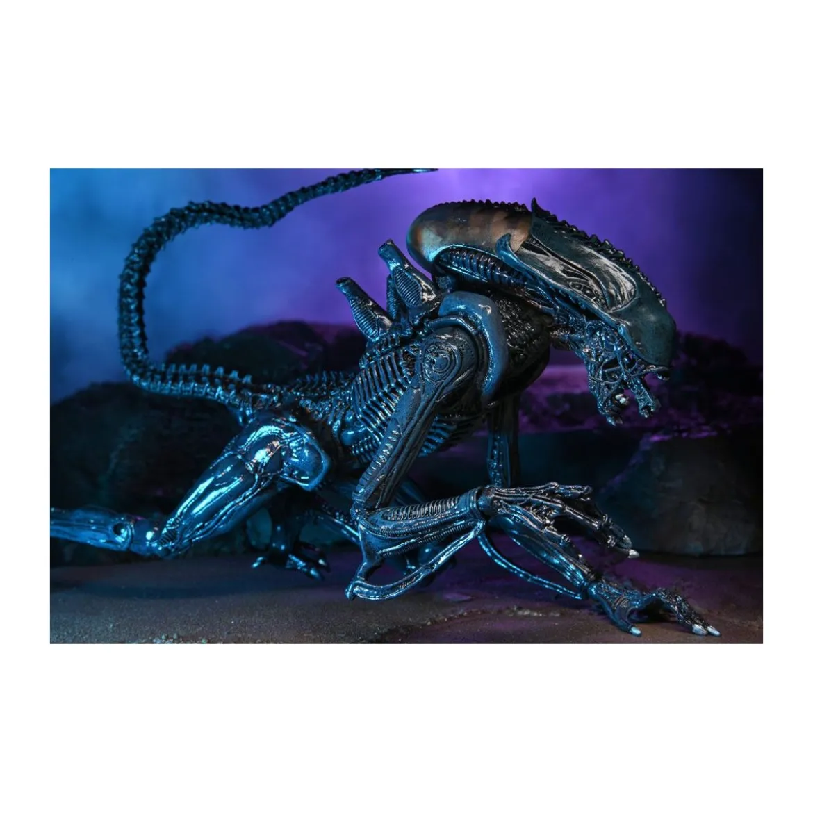 Neca Alien vs Predator - Alien Realistic Appearance - Set Complet de 3 figurines