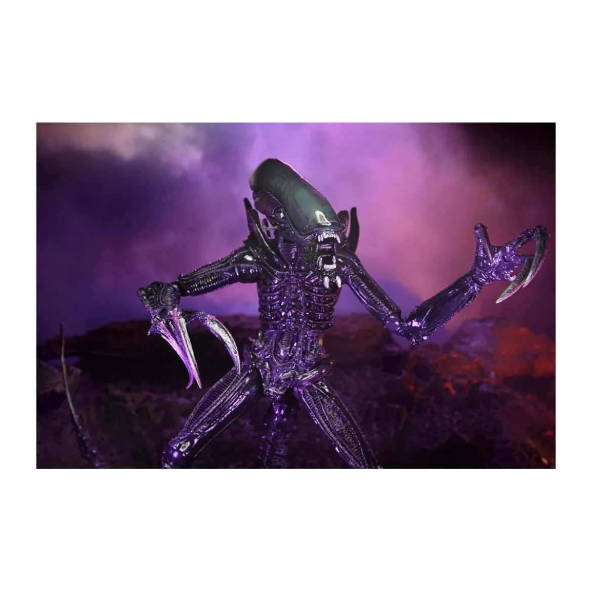 Neca Alien vs Predator - Alien Realistic Appearance - Set Complet de 3 figurines