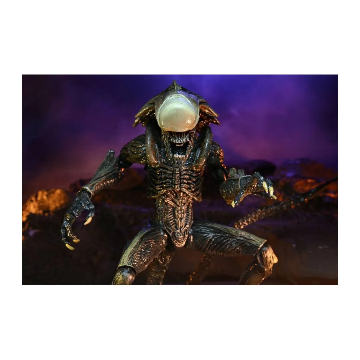 Neca Alien vs Predator - Alien Realistic Appearance - Set Complet de 3 figurines