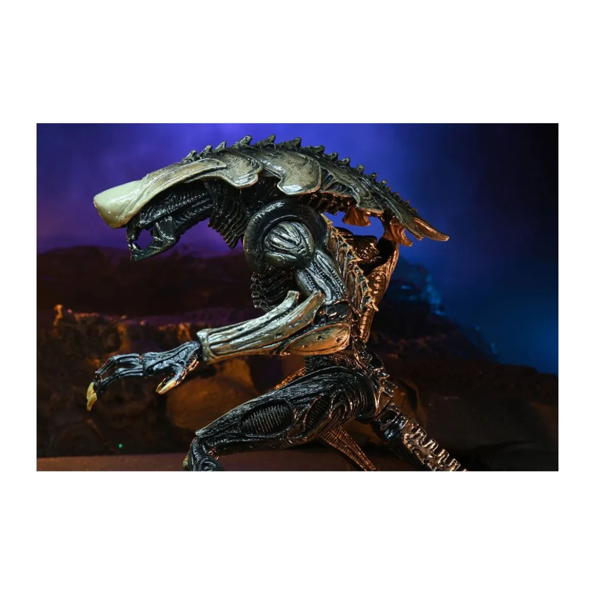 Neca Alien vs Predator - Alien Realistic Appearance - Set Complet de 3 figurines