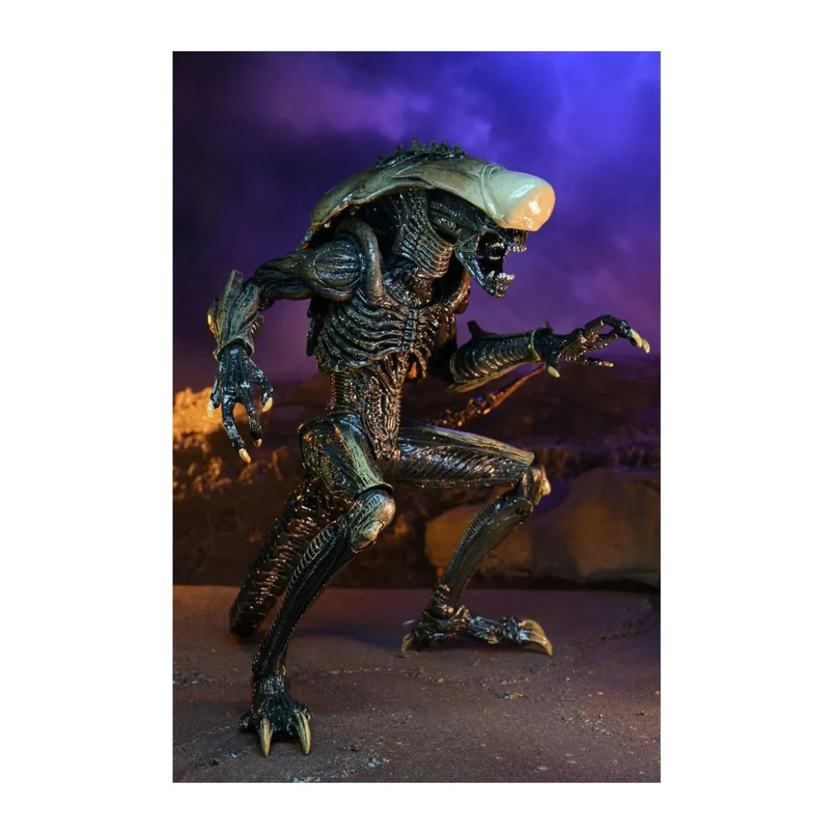Neca Alien vs Predator - Alien Realistic Appearance - Set Complet de 3 figurines