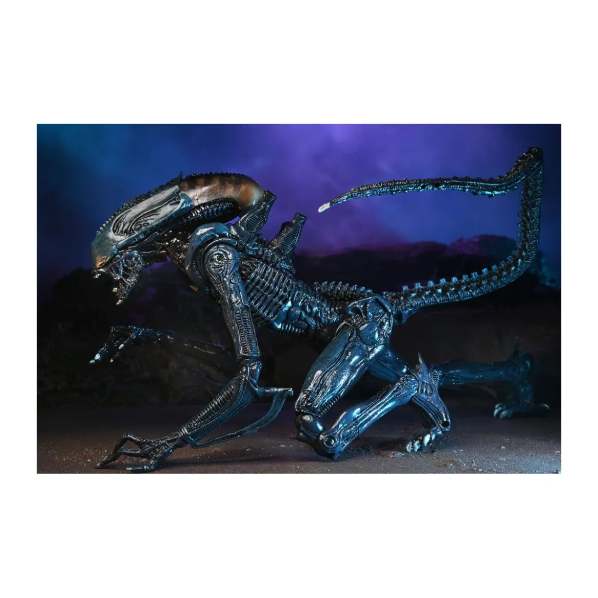 Neca Alien vs Predator - Alien Realistic Appearance - Set Complet de 3 figurines