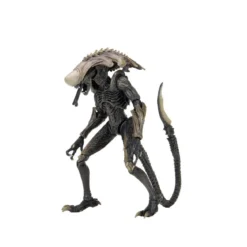 Neca Alien vs Predator - Alien Realistic Appearance - Set Complet de 3 figurines