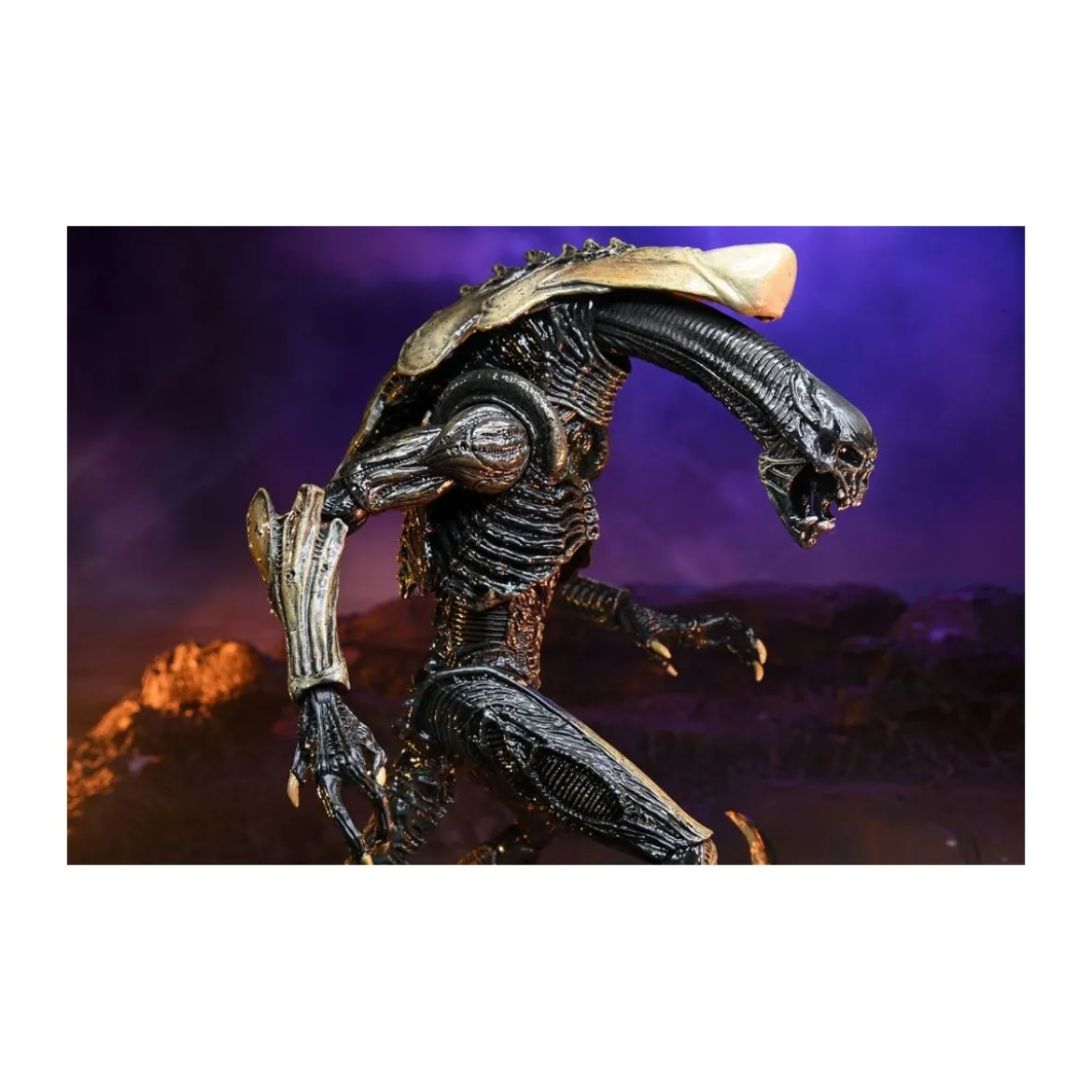 Neca Alien vs Predator - Alien Realistic Appearance - Set Complet de 3 figurines