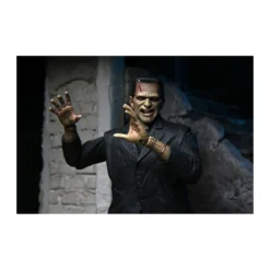 NECA - Ultimate Frankenstein's Monster Color Version - Universal Monsters