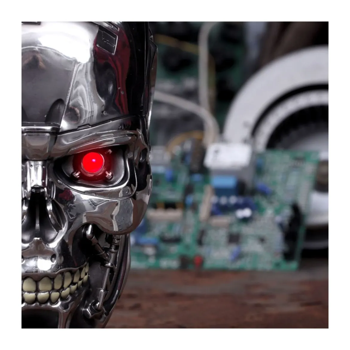 Nemesis Now - Terminator 2 - Endoskull T-800 Terminator Head