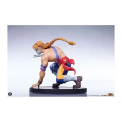 PCS - Street Fighter: Street Jam - Ken & Vega 1:10 Scale Statue Set