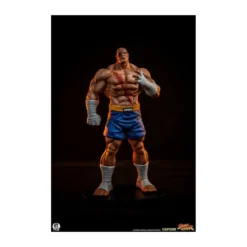 PCS - Street Fighter: Street Jam - Sagat & Juli 1:10 Scale Statue Set