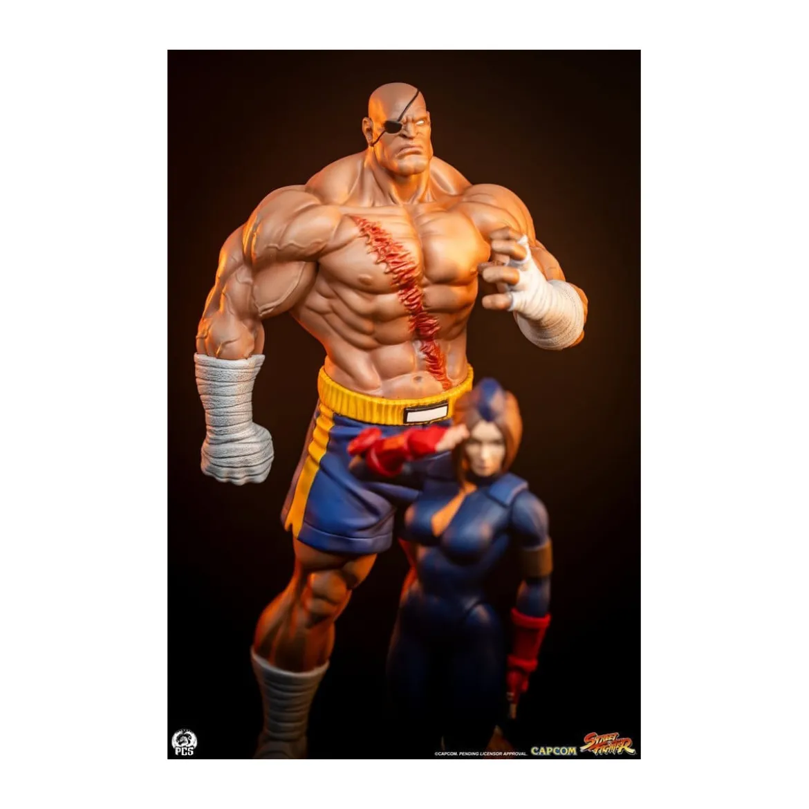 PCS - Street Fighter: Street Jam - Sagat & Juli 1:10 Scale Statue Set
