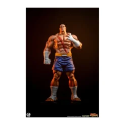 PCS - Street Fighter: Street Jam - Sagat & Juli 1:10 Scale Statue Set