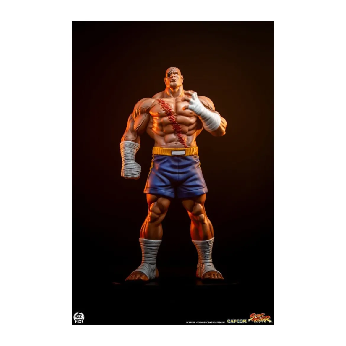 PCS - Street Fighter: Street Jam - Sagat & Juli 1:10 Scale Statue Set
