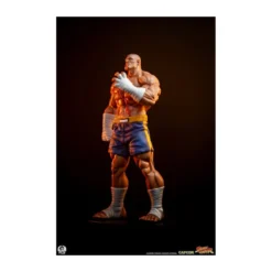 PCS - Street Fighter: Street Jam - Sagat & Juli 1:10 Scale Statue Set