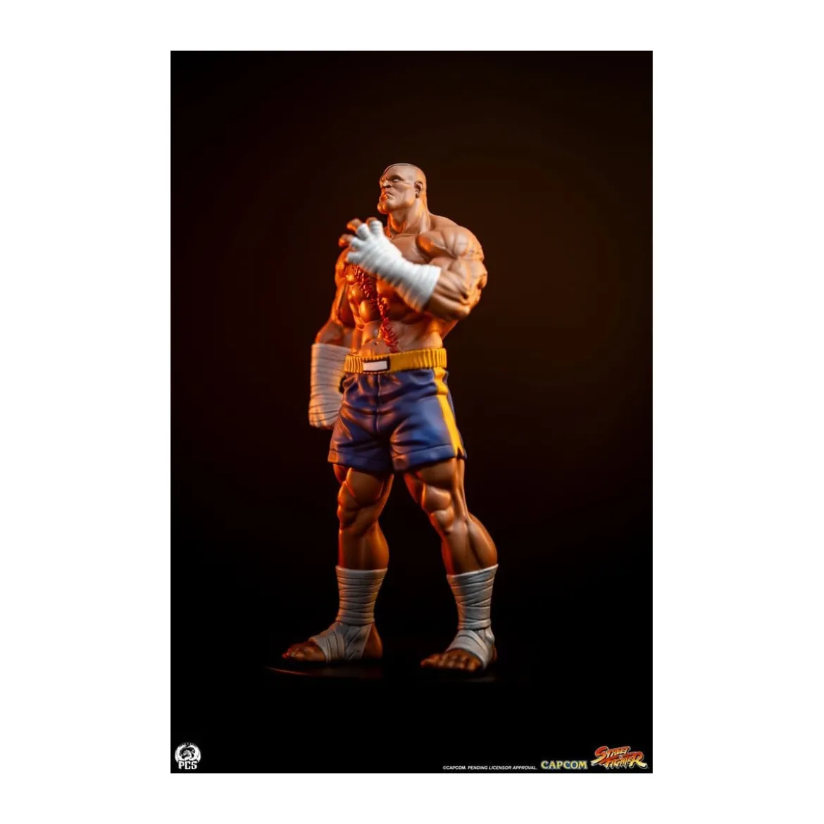 PCS - Street Fighter: Street Jam - Sagat & Juli 1:10 Scale Statue Set