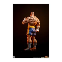 PCS - Street Fighter: Street Jam - Sagat & Juli 1:10 Scale Statue Set