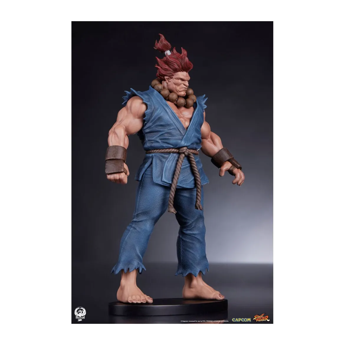 PCS - Street Fighter: Street Jam - Akuma & Dhalsim 1:10 Scale Statue Set