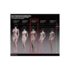 Phicen - TBLeague 1/6 Scale Female Super-Flexible Seamless Body - Corp moyen bronzé bonnets moyens