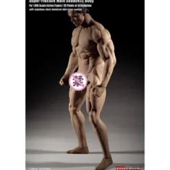 Phicen - TBLeague 1/6th Scale Super-Flexible Male Seamless Body - Corp bronzé Musculature Forte