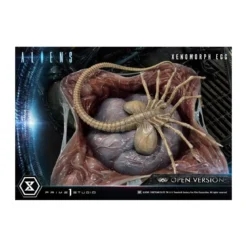 Prime 1 Studio - Aliens Premium Masterline Series statuette Xenomorph Egg Open Version - Ovomorph