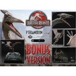 Prime 1 Studio - Jurassic Park III - Pteranodon Bonus Version Legacy Museum Collection 1/6