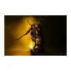 Pure Arts - Animus Bayek 1/4 - Assassin´s Creed statuette