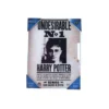 SD Toys - Harry Potter poster en verre " Undesirable No. 1"
