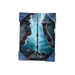 SD Toys - Harry Potter poster en verre "Harry & Voldemort"