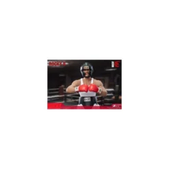 Star Ace - Rocky II - Boxer Rocky Deluxe Edition 1/6