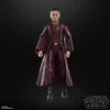 Star Wars The Black Series - Padmé Amidala - Star Wars: The Phantom Menace