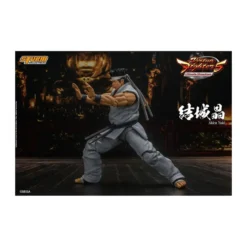 Storm Collectibles - Akira Yuki - Virtua Fighter 5 Ultimate Showdown
