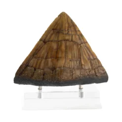 Toynami ECC Elite Creature Collectibles - Triceratops Spike Prop - Jurassic Park