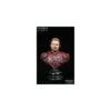 Weta - Buste Eomer 1/4 - Le seigneur des anneaux - Occasion