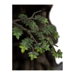Weta - Leaflock the Ent Statue 1/6 - Le seigneur des anneaux