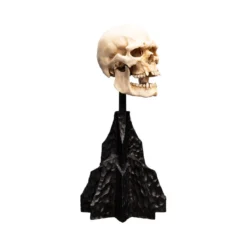 Weta - Le Seigneur des Anneaux - Skull of a Mordor Orc - LOTR