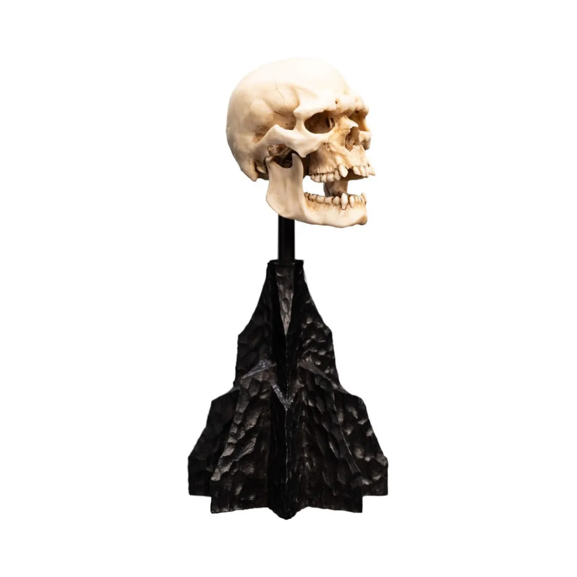Weta - Le Seigneur des Anneaux - Skull of a Mordor Orc - LOTR