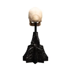 Weta - Le Seigneur des Anneaux - Skull of a Mordor Orc - LOTR
