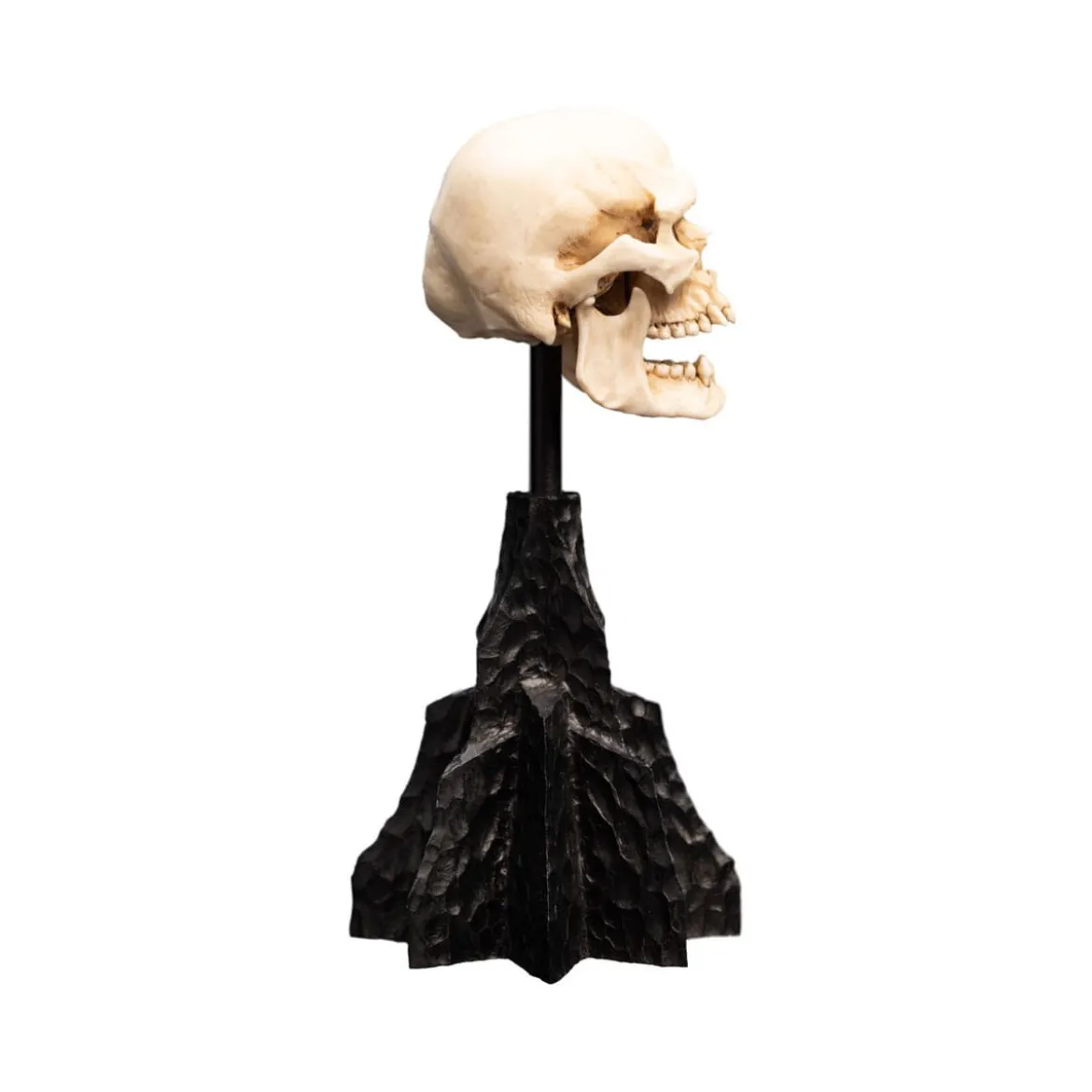 Weta - Le Seigneur des Anneaux - Skull of a Mordor Orc - LOTR